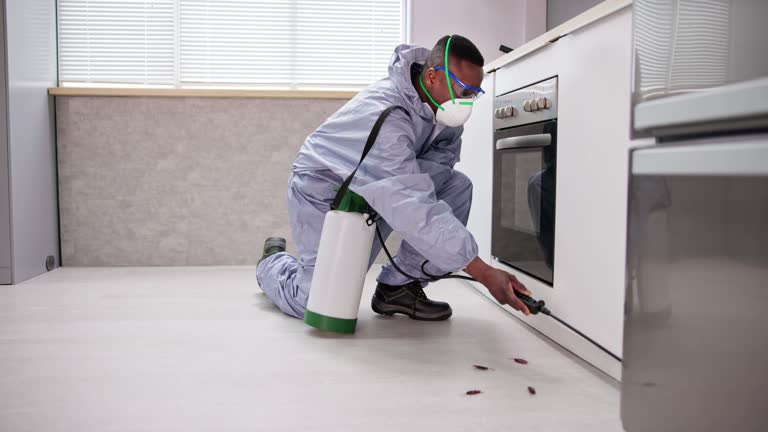 Best Real Estate Pest Inspections  in English, IN